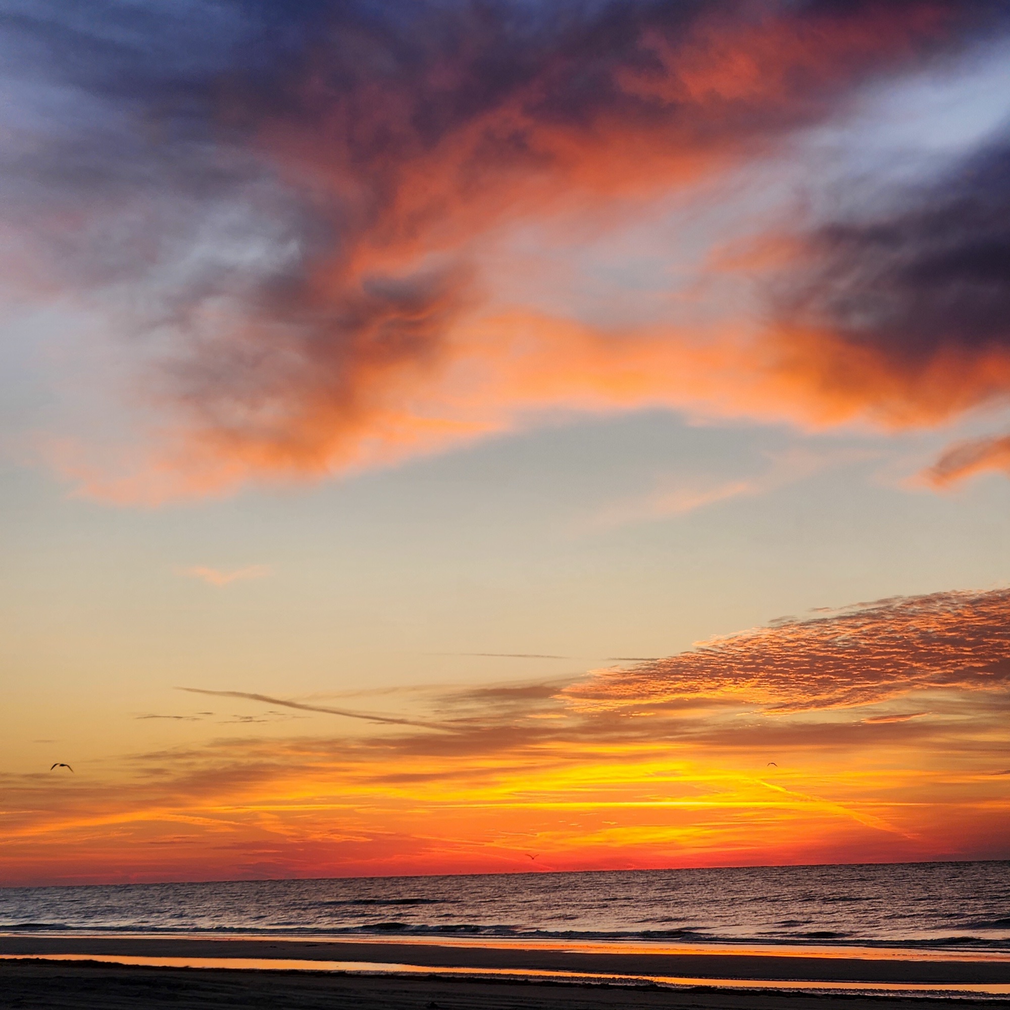 Photograph from the Coastal Horizons collection by Tessa Jameson.