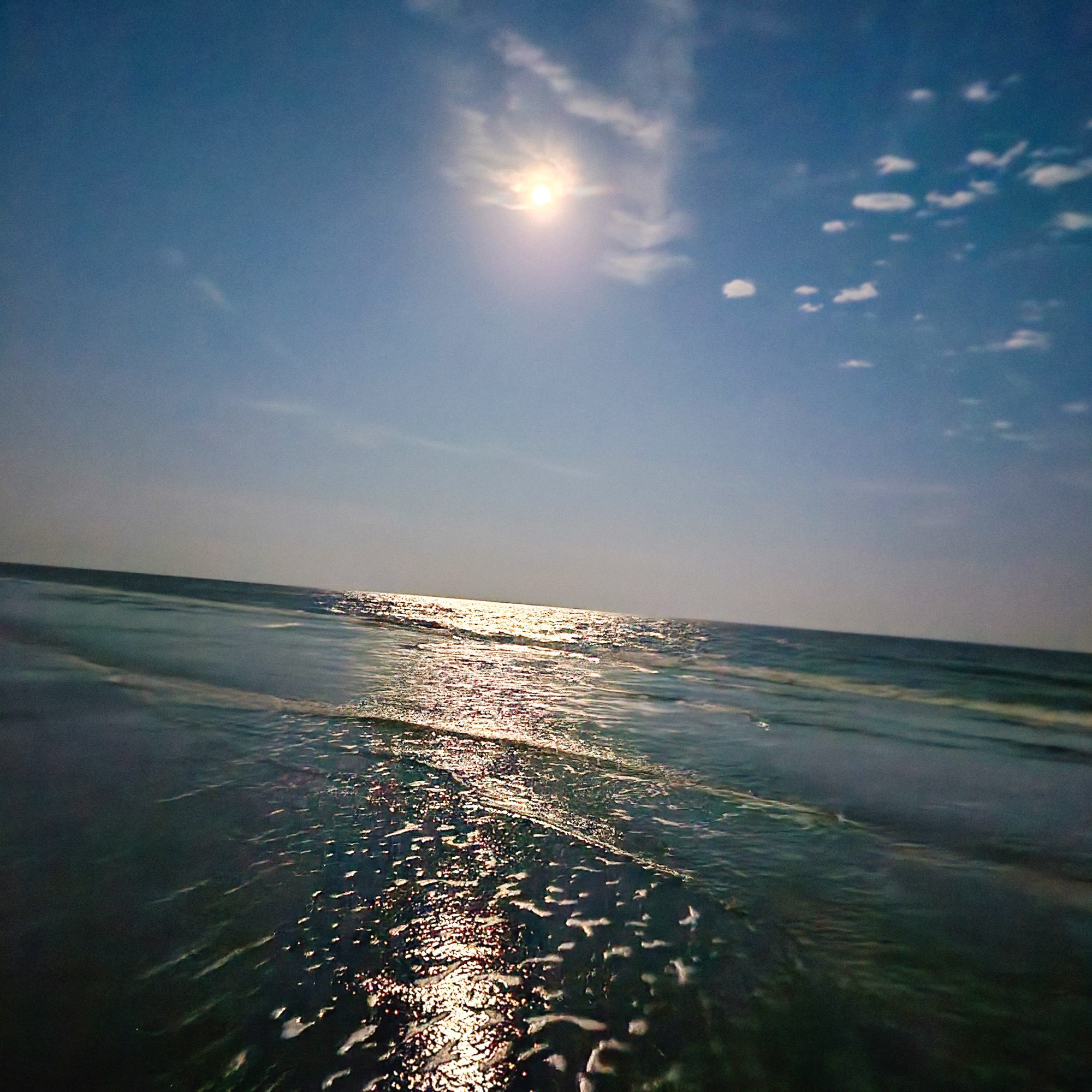 Photograph from the Coastal Horizons collection by Tessa Jameson.