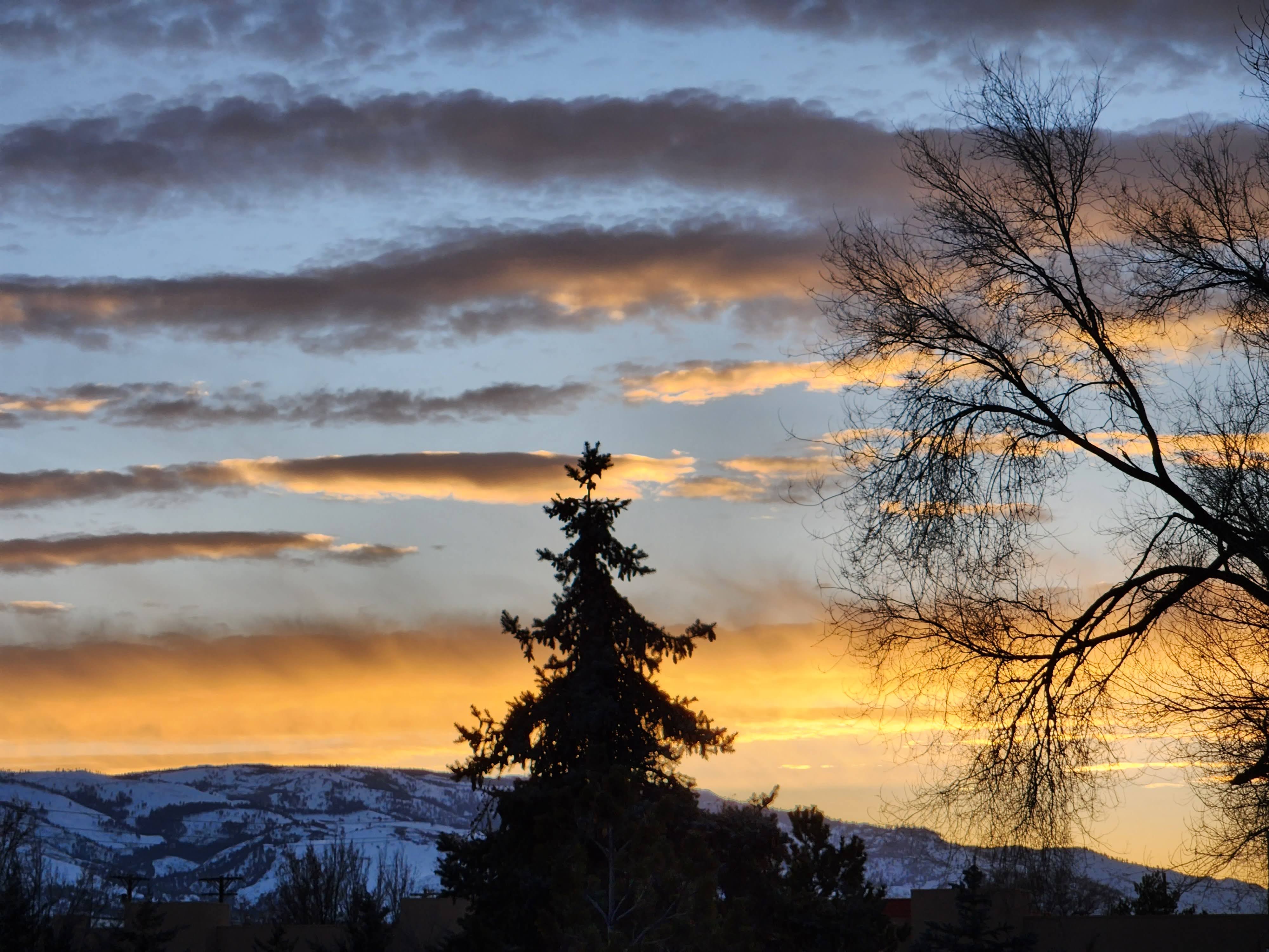 Golden sunset behind a silhouetted evergreen and bare branches, with snow-covered hills along the horizon.