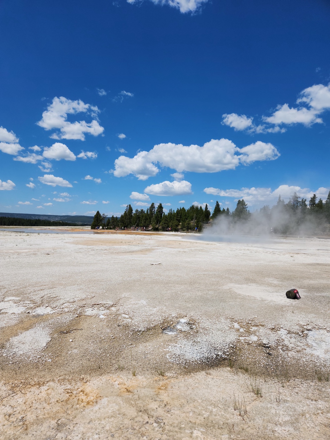 Wide geothermal landscape with pale mineral ground, distant pine forest, and steam beneath a bright blue sky.