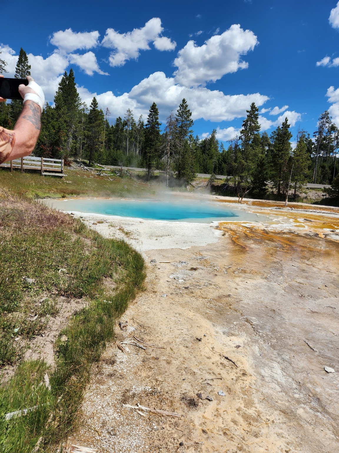 Vivid turquoise water and mineral deposits framed by pine trees and low steam.
