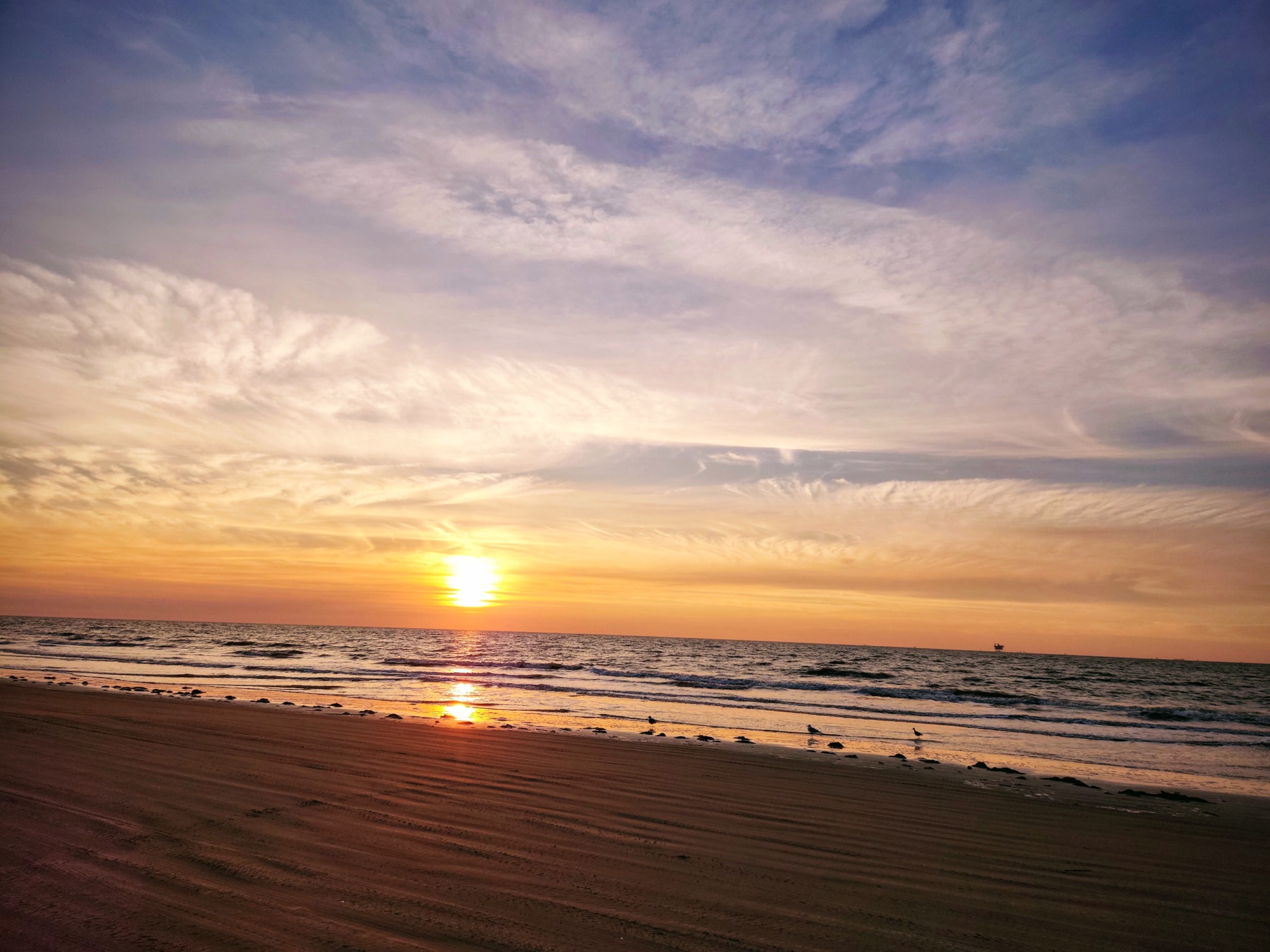 Photograph from the Coastal Horizons collection by Tessa Jameson.