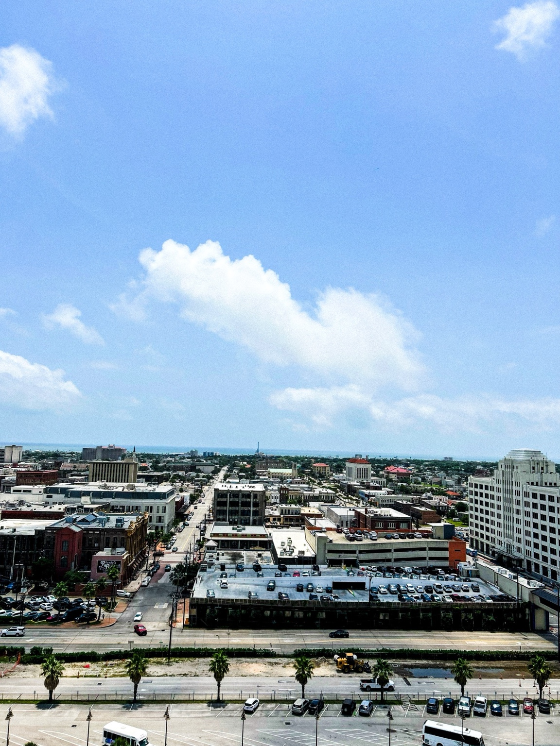 A city harbor and marina stretch beneath a bright sky.