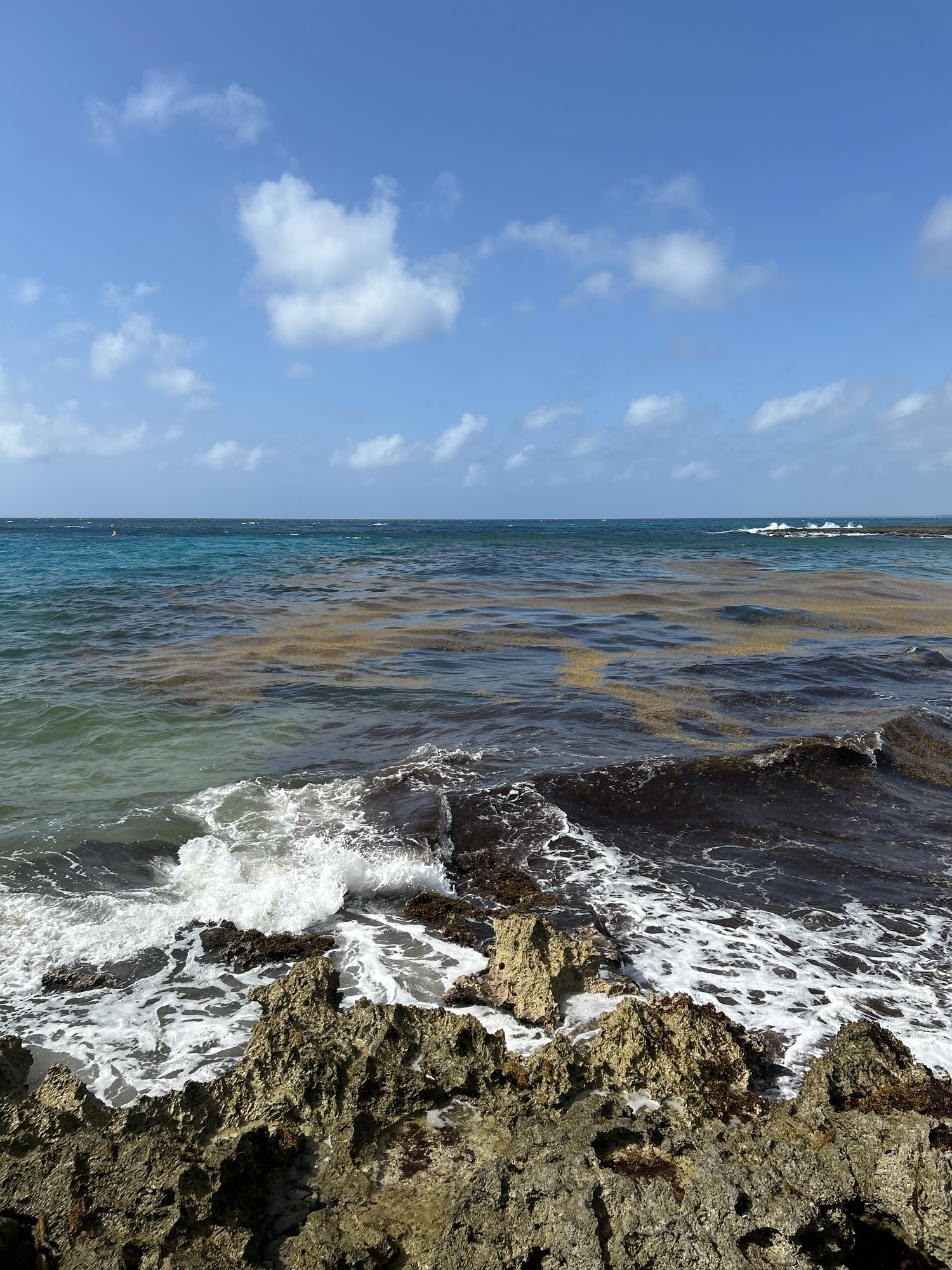 Dark coastal rocks meet blue water beneath a clear sky.