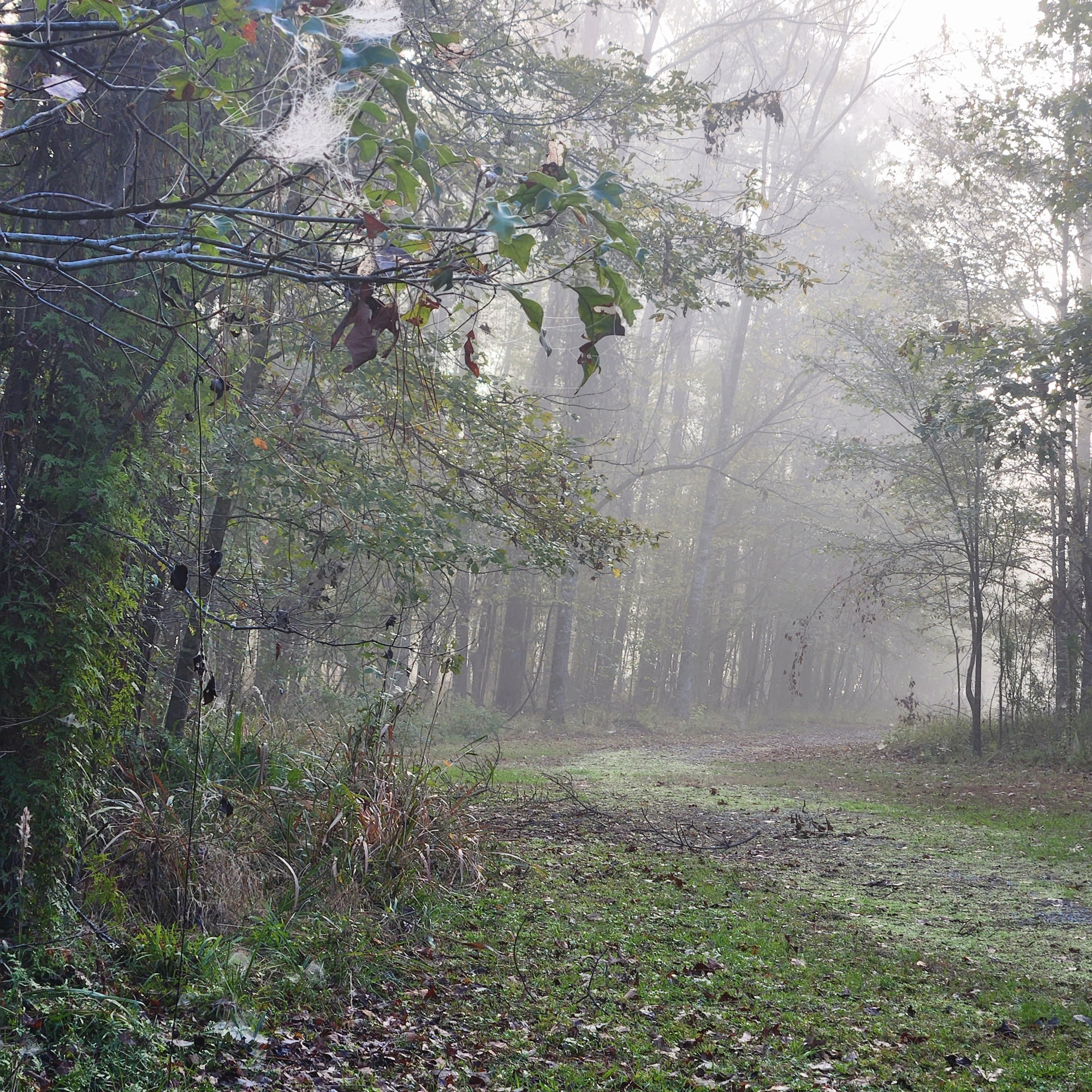 Photograph from the Wanderlands collection by Tessa Jameson.