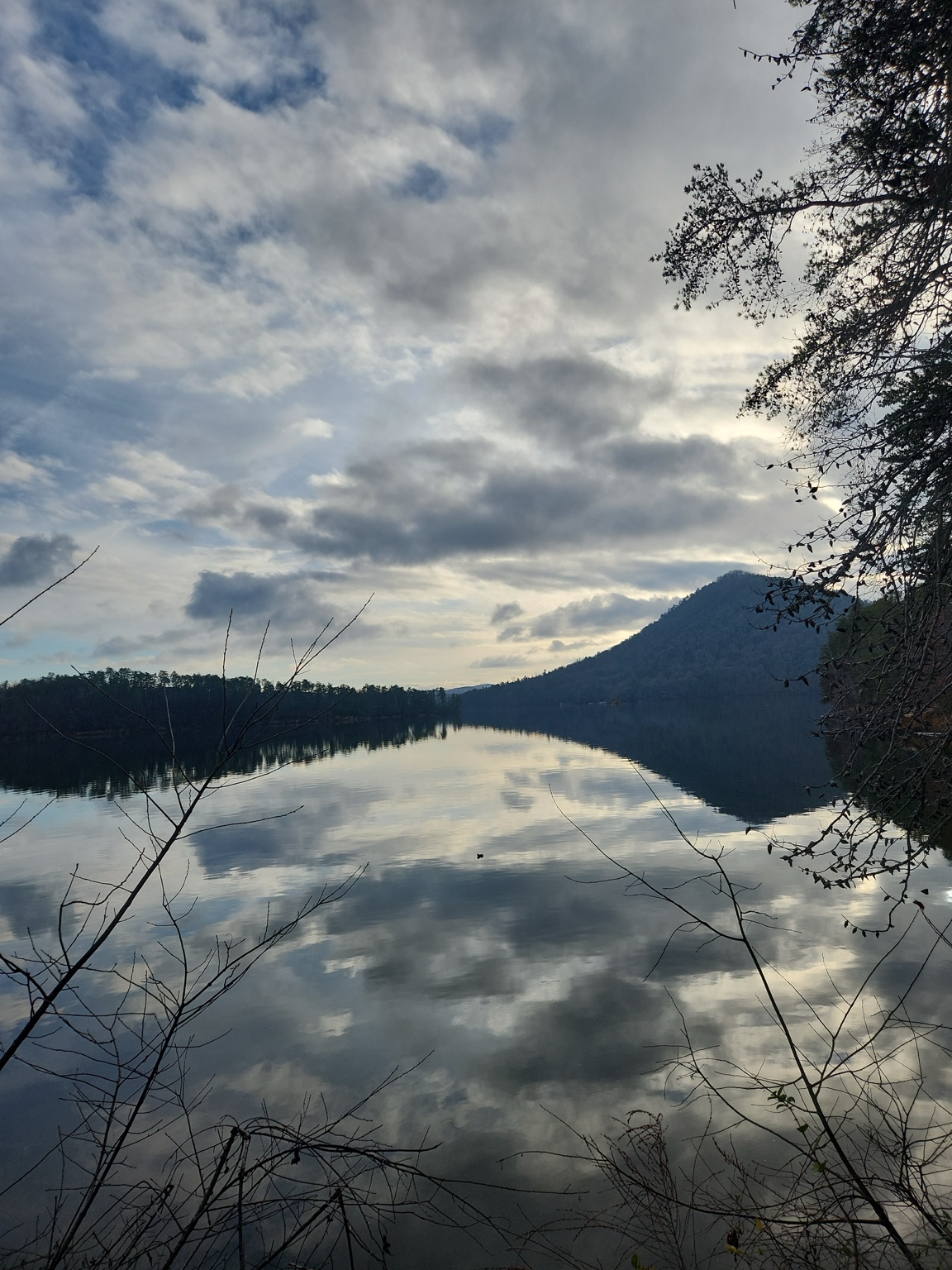 Clouds reflected in a still lake, framed by a mountain ridge and dark branches in the foreground.