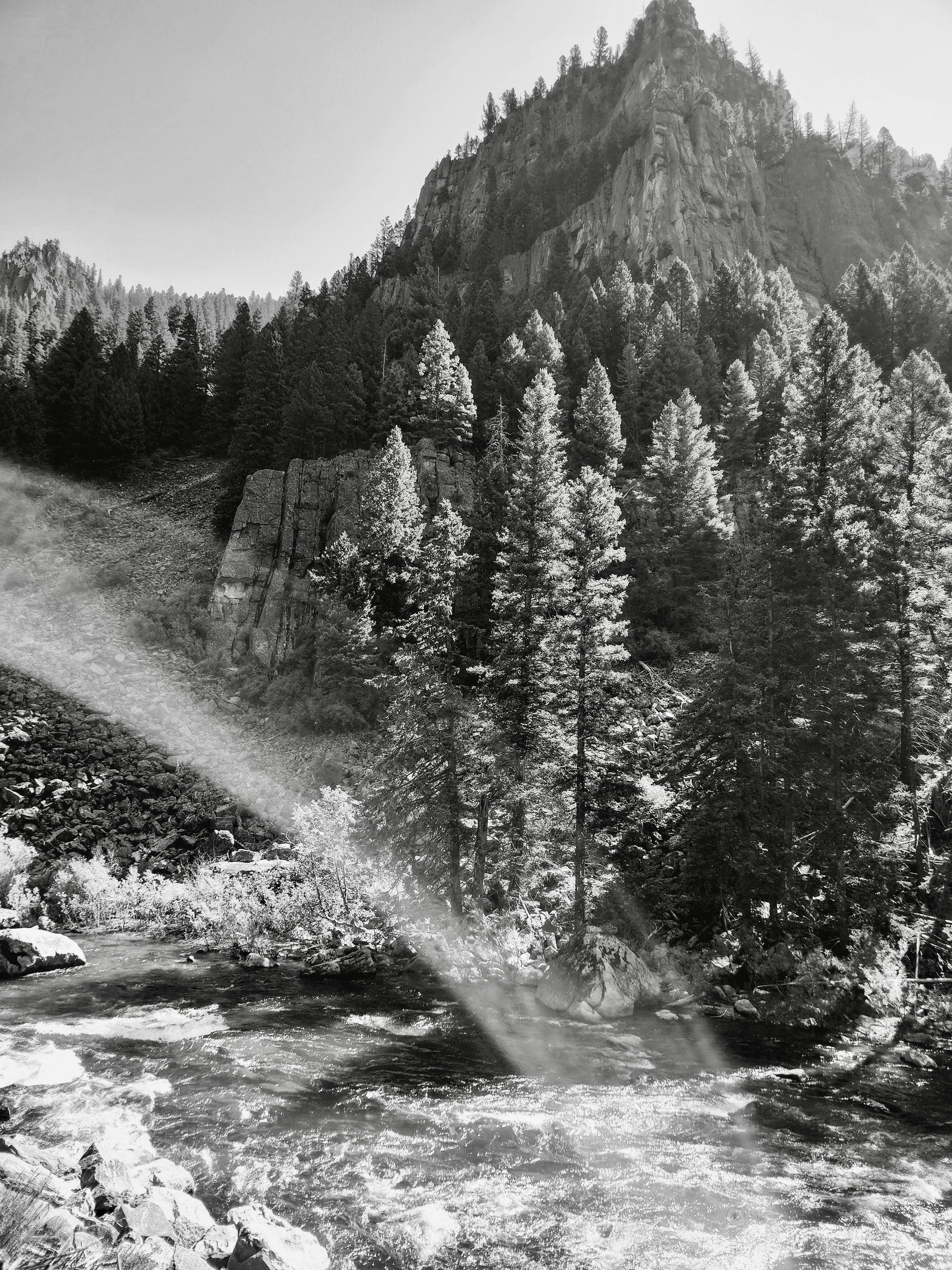Photograph from the Monochrome Moments collection by Tessa Jameson.