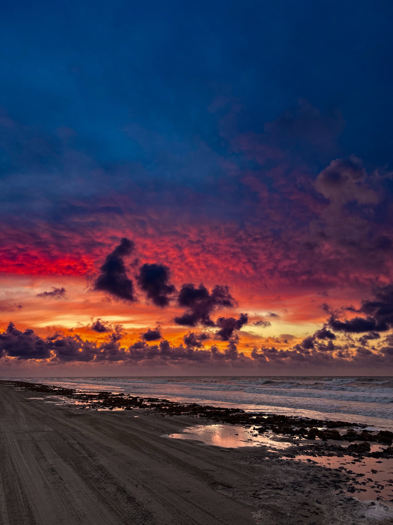 Photograph from the Coastal Horizons collection by Tessa Jameson.