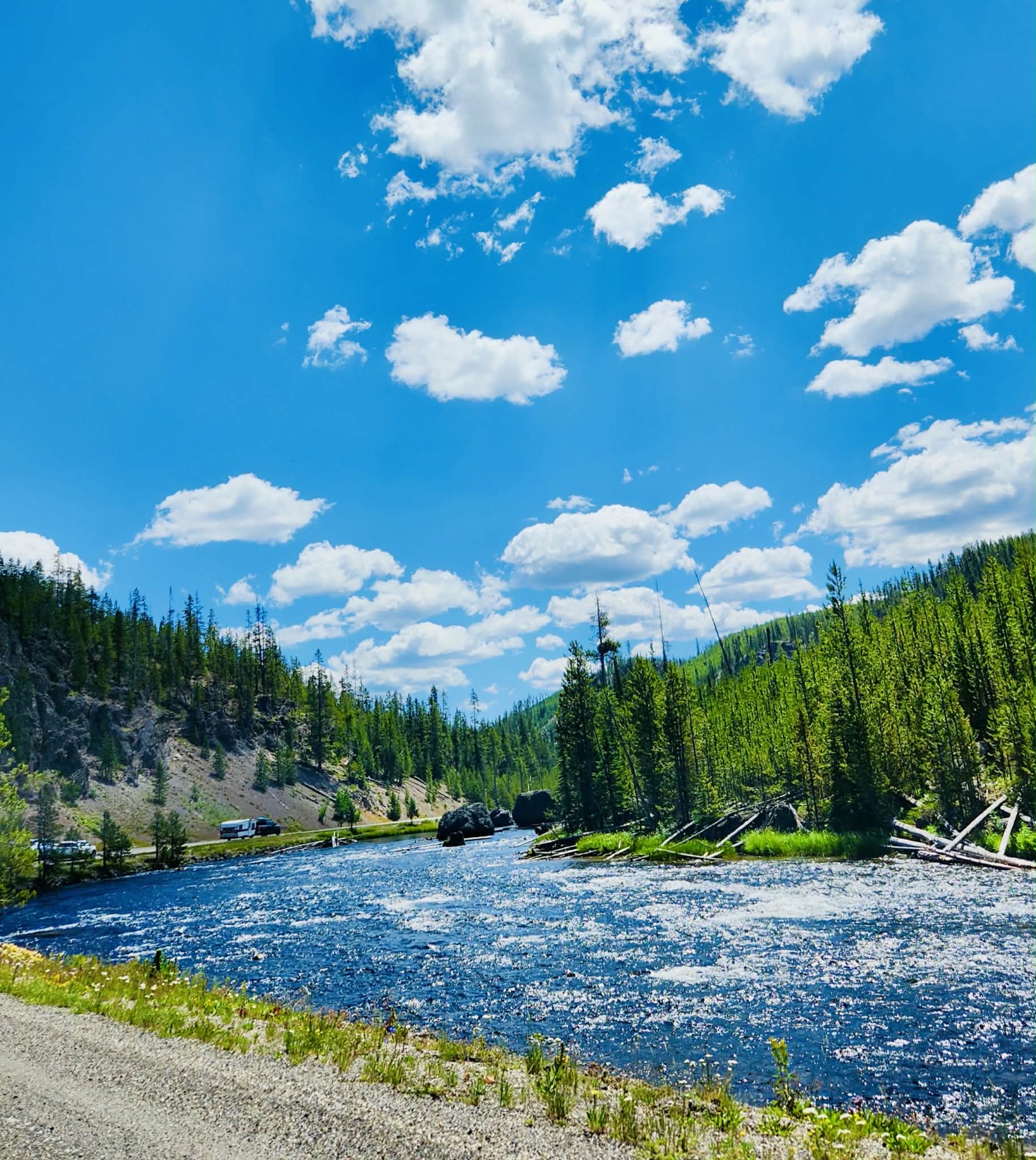A bright blue sky hangs over a fast-moving river and forested banks.