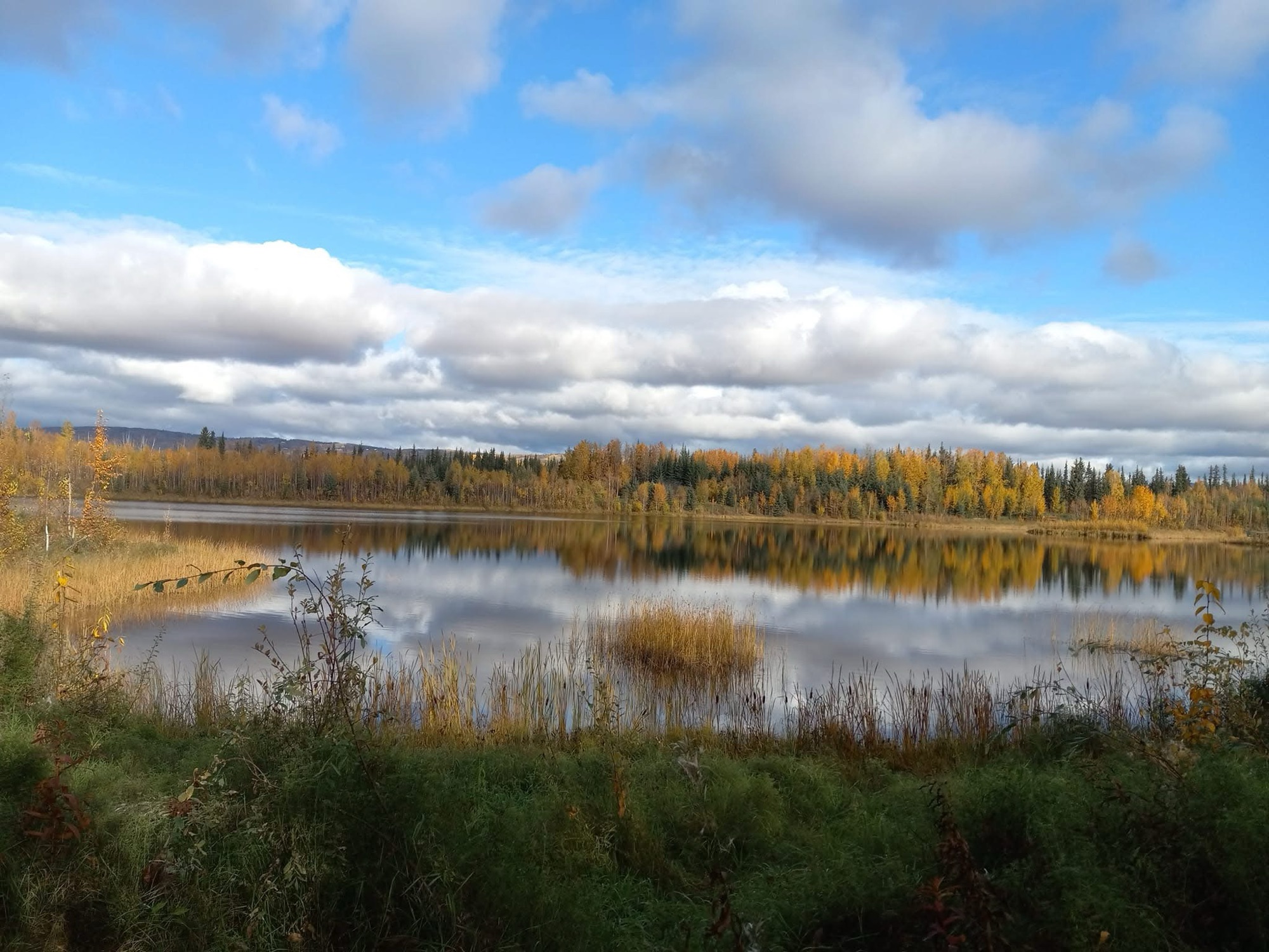 Golden autumn trees and clouds reflect in a still lake.
