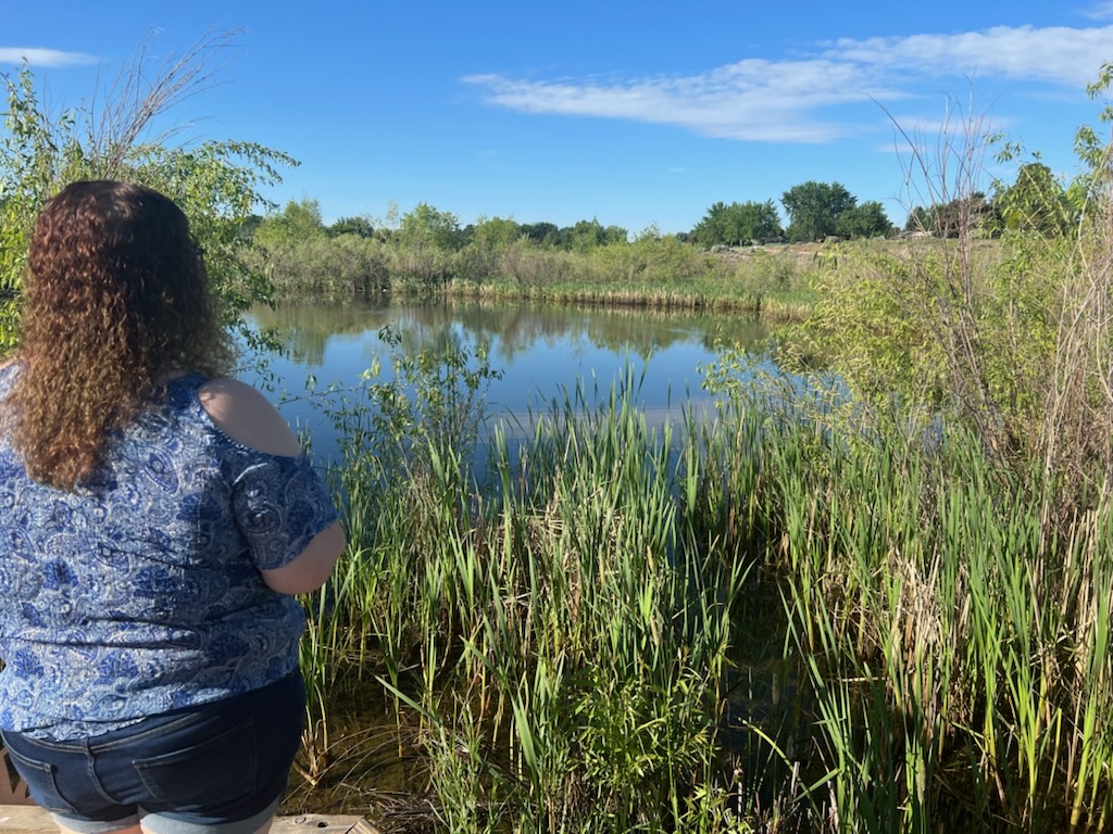 A quiet moment at a pond framed by reeds and summer greenery.