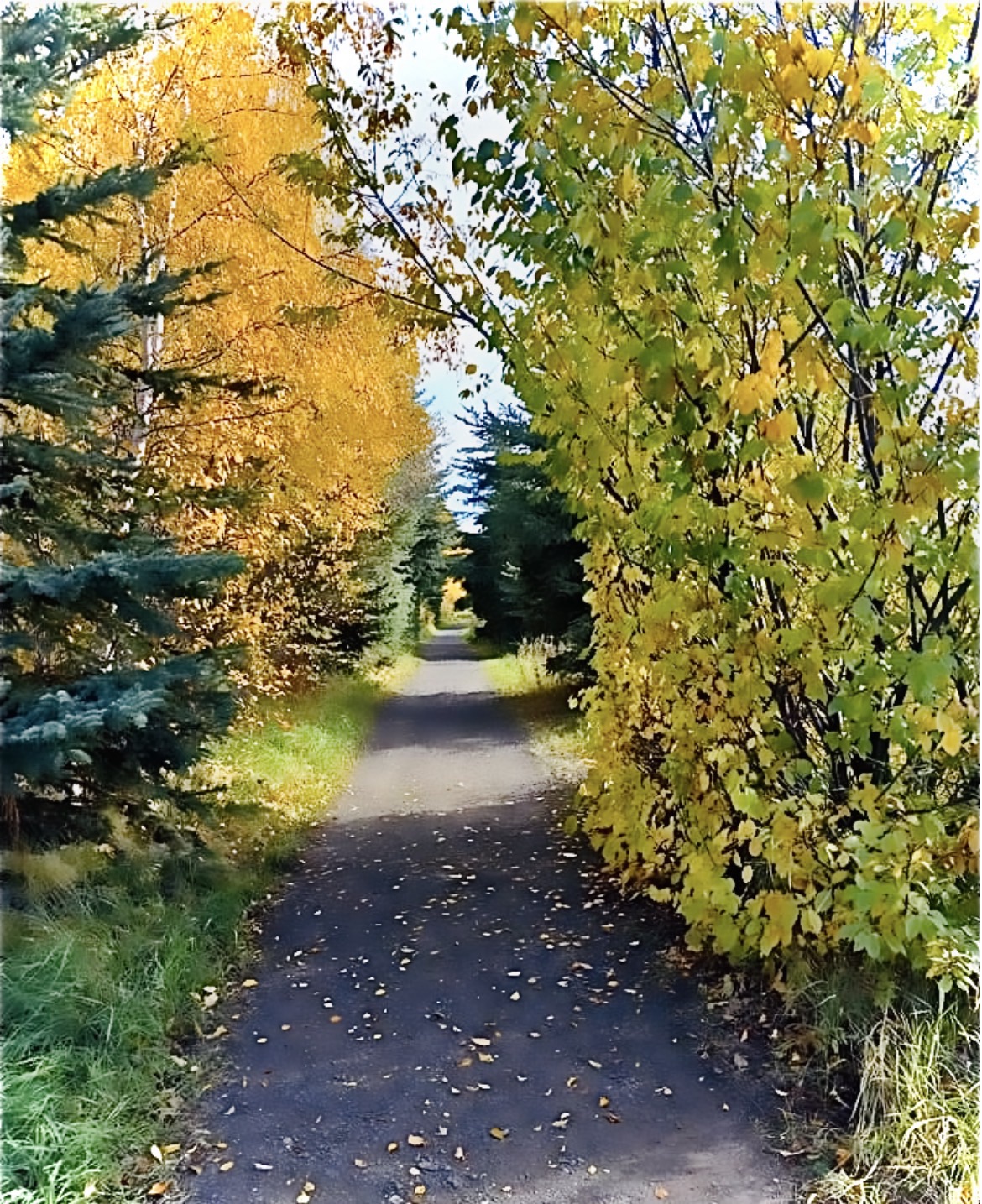 Photograph from the Wanderlands collection by Tessa Jameson.