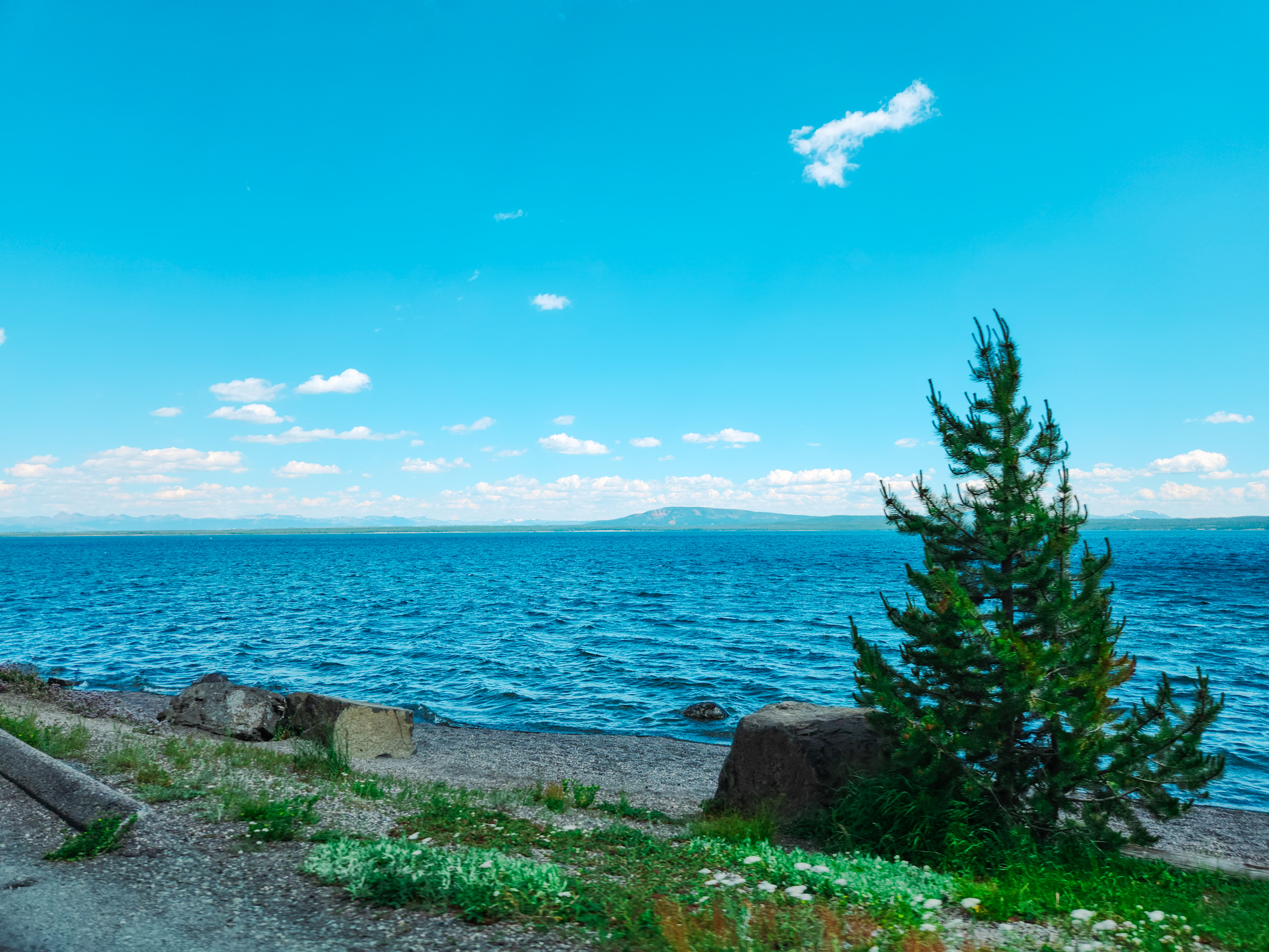 Photograph from the Coastal Horizons collection by Tessa Jameson.